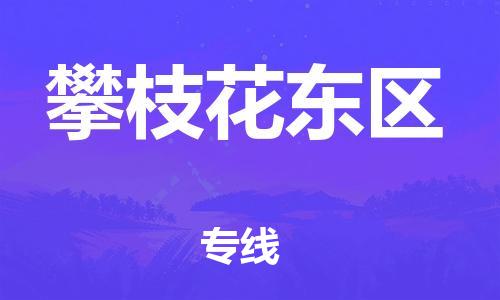 廣州到攀枝花東區(qū)物流公司直達(dá)貨運,廣州到攀枝花東區(qū)物流專線